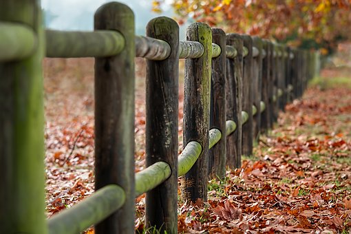 Fence Walker