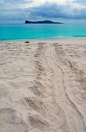 Draglines In The Sand