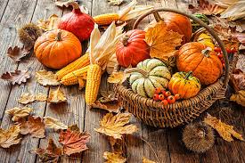 The Fall Season and Biblical Harvest